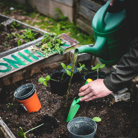 An image of gardening, which is one of the products we supply.